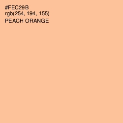 #FEC29B - Peach Orange Color Image