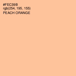 #FEC39B - Peach Orange Color Image
