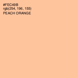 #FEC49B - Peach Orange Color Image