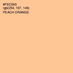 #FEC595 - Peach Orange Color Image