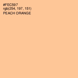 #FEC597 - Peach Orange Color Image