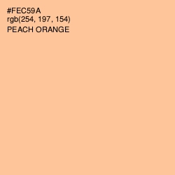 #FEC59A - Peach Orange Color Image