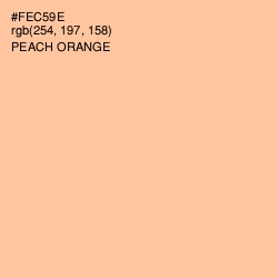 #FEC59E - Peach Orange Color Image