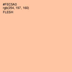 #FEC5A0 - Flesh Color Image