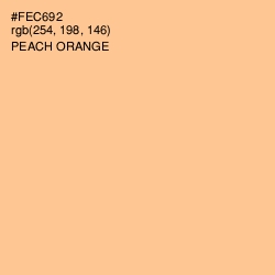 #FEC692 - Peach Orange Color Image