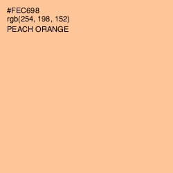 #FEC698 - Peach Orange Color Image