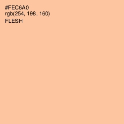 #FEC6A0 - Flesh Color Image