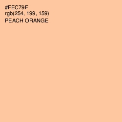 #FEC79F - Peach Orange Color Image