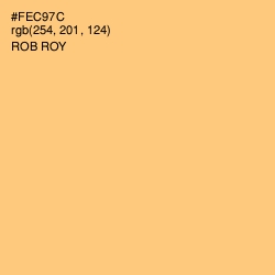 #FEC97C - Rob Roy Color Image