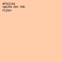 #FECCA8 - Flesh Color Image