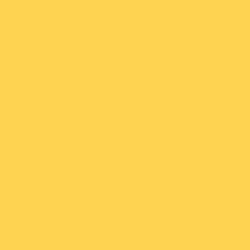 #FED351 - Mustard Color Image