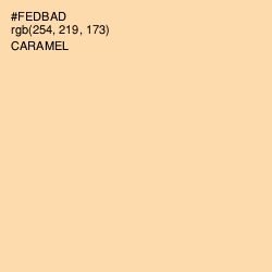 #FEDBAD - Caramel Color Image