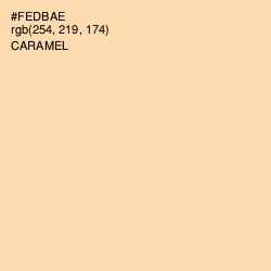 #FEDBAE - Caramel Color Image