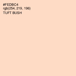 #FEDBC4 - Tuft Bush Color Image