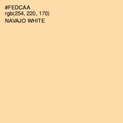 #FEDCAA - Navajo White Color Image