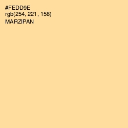 #FEDD9E - Marzipan Color Image