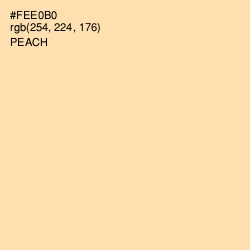 #FEE0B0 - Peach Color Image