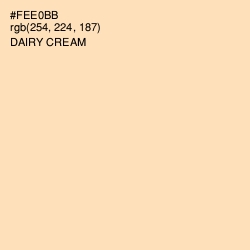 #FEE0BB - Dairy Cream Color Image