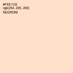#FEE1C8 - Negroni Color Image