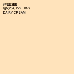 #FEE3BB - Dairy Cream Color Image