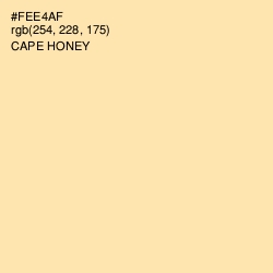 #FEE4AF - Cape Honey Color Image