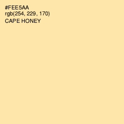 #FEE5AA - Cape Honey Color Image