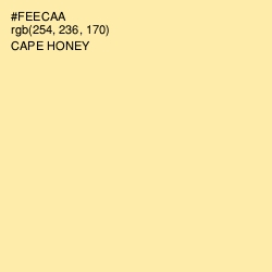 #FEECAA - Cape Honey Color Image