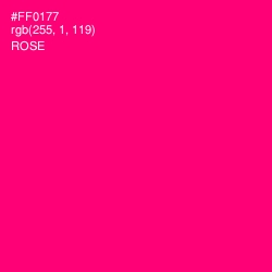 #FF0177 - Rose Color Image