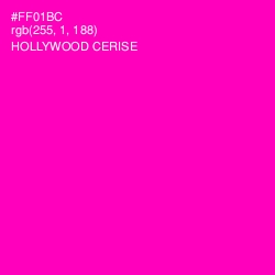 #FF01BC - Hollywood Cerise Color Image