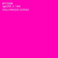 #FF02B8 - Hollywood Cerise Color Image