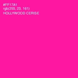 #FF17A1 - Hollywood Cerise Color Image