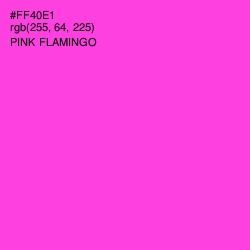 #FF40E1 - Pink Flamingo Color Image