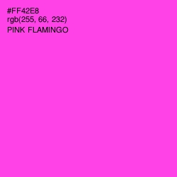 #FF42E8 - Pink Flamingo Color Image