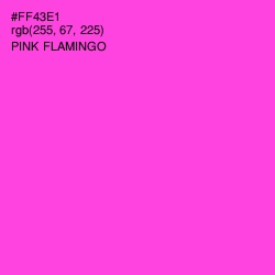 #FF43E1 - Pink Flamingo Color Image