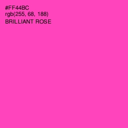 #FF44BC - Brilliant Rose Color Image