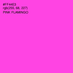 #FF44E3 - Pink Flamingo Color Image