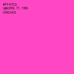 #FF47C3 - Orchid Color Image