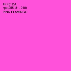 #FF51DA - Pink Flamingo Color Image