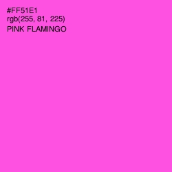 #FF51E1 - Pink Flamingo Color Image