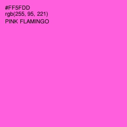 #FF5FDD - Pink Flamingo Color Image