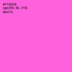 #FF60DB - Pink Flamingo Color Image