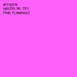 #FF60FB - Pink Flamingo Color Image