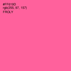#FF619D - Froly Color Image
