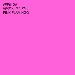 #FF61DA - Pink Flamingo Color Image