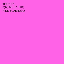 #FF61E7 - Pink Flamingo Color Image