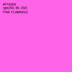 #FF63E8 - Pink Flamingo Color Image