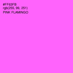 #FF63FB - Pink Flamingo Color Image