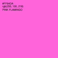 #FF64DA - Pink Flamingo Color Image