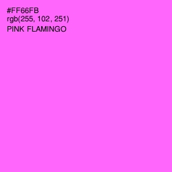 #FF66FB - Pink Flamingo Color Image
