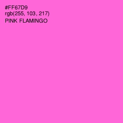 #FF67D9 - Pink Flamingo Color Image